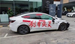 最新a车爆料柯基